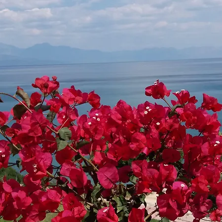 Panorama بيت للعطل