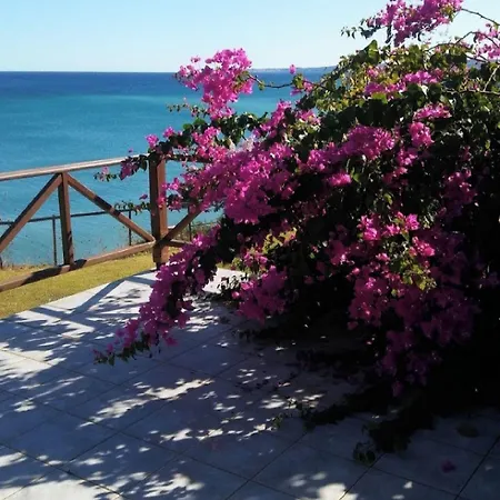 Panorama بيت للعطل *