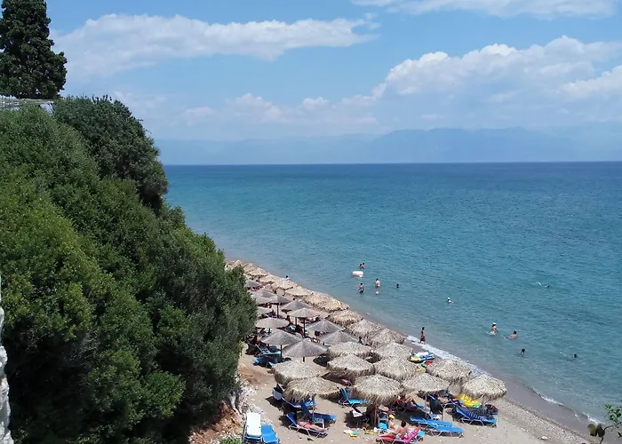 Panorama *